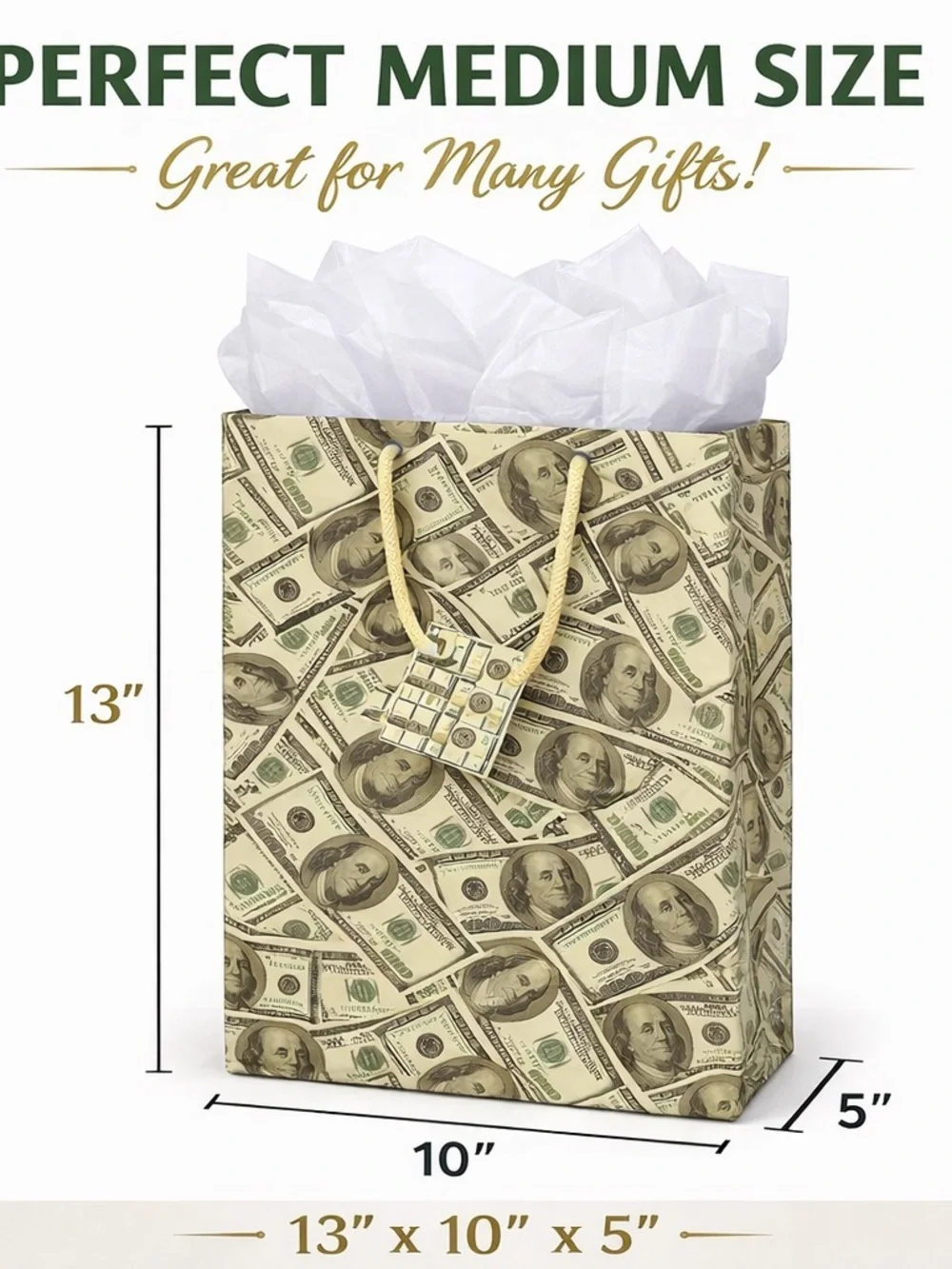 Novelty Money Print Gift Bag with Tissue